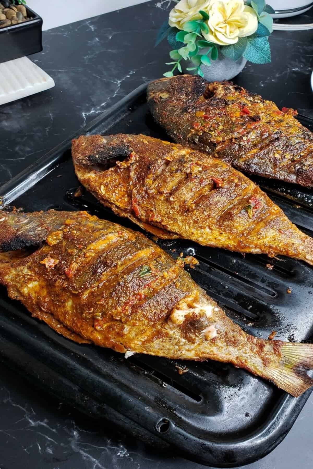 Fish